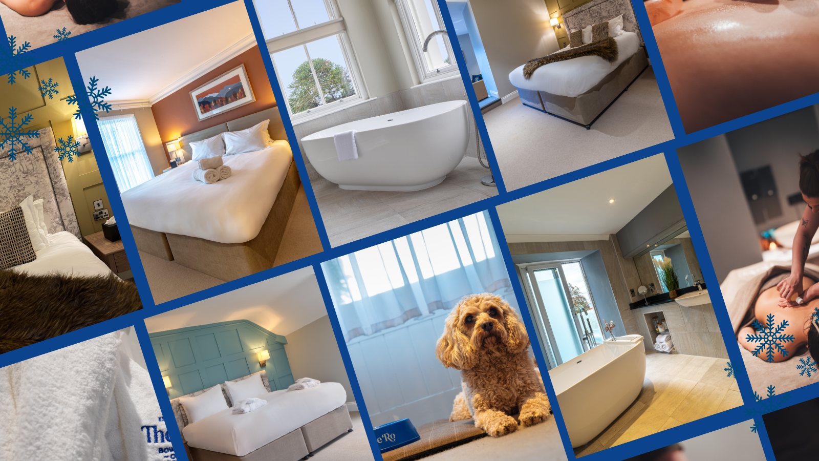 Collage of hotel amenities featuring cozy bedrooms, modern bathrooms with large bathtubs, spa treatments, and a dog-friendly environment.