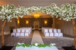 wedding-set-up