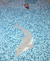 pool5