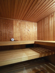sauna1