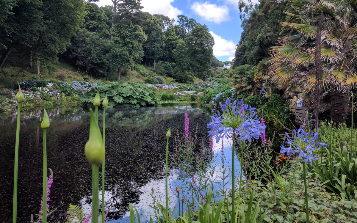 A tranquil garden with a pond reflecting the blue sky, surrounded by green vegetation, purple flowers, and a white bridge in the distance.
