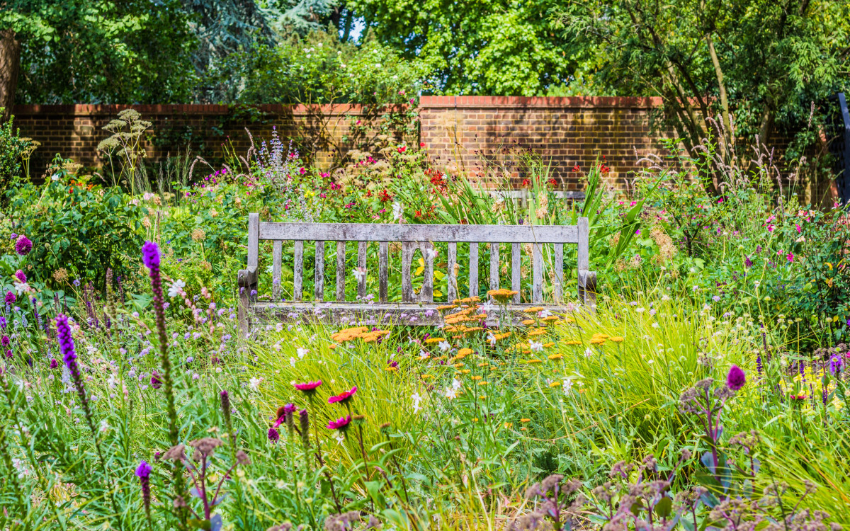 A weathered wooden bench sits in a vibrant, overgrown garden full of colorful wildflowers, with a brick wall and lush green trees in the background.