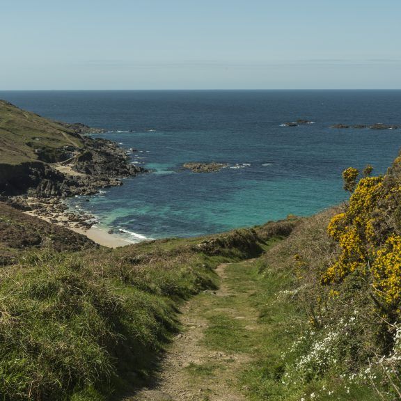 A secluded sandy beach surrounded by green hills and wildflowers overlooking the blue ocean.