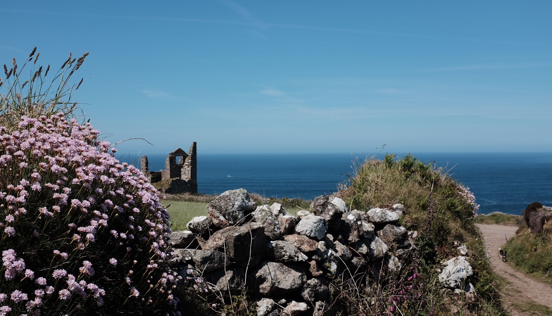 Coastal path with stone wall, wildflowers, and the ruins of an old building overlooking the sea under a clear blue sky