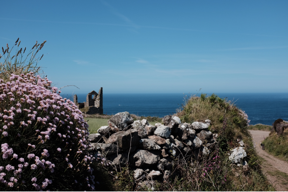 Coastal path with stone wall, wildflowers, and the ruins of an old building overlooking the sea under a clear blue sky