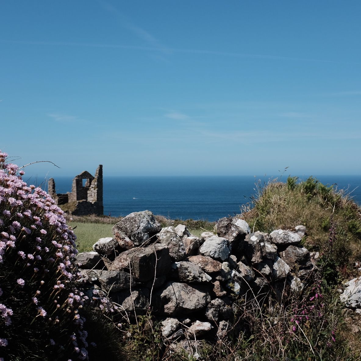 Coastal path with stone wall, wildflowers, and the ruins of an old building overlooking the sea under a clear blue sky