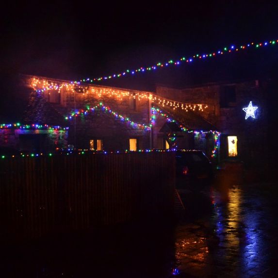 House decorated with colorful Christmas lights at night