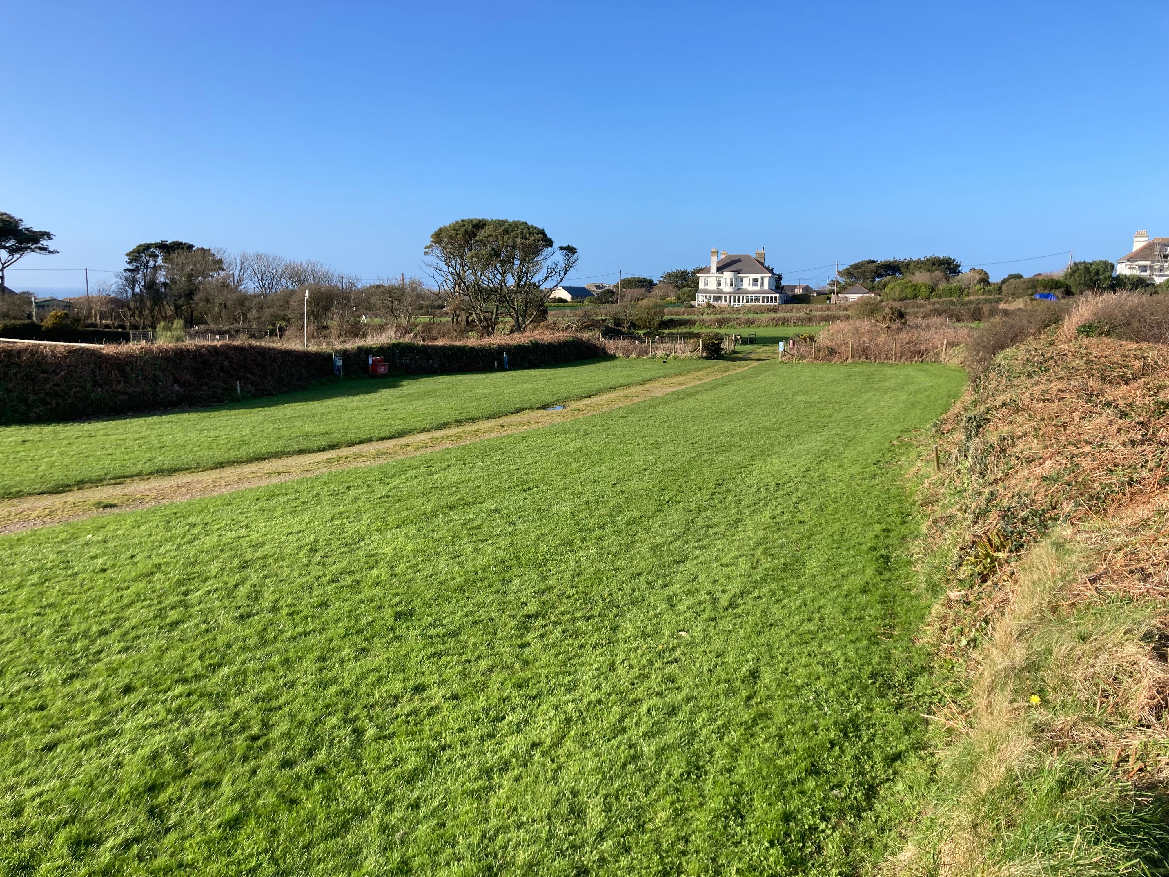 A large grassy field bordered by hedges, with a few houses and trees in the background under a clear blue sky.