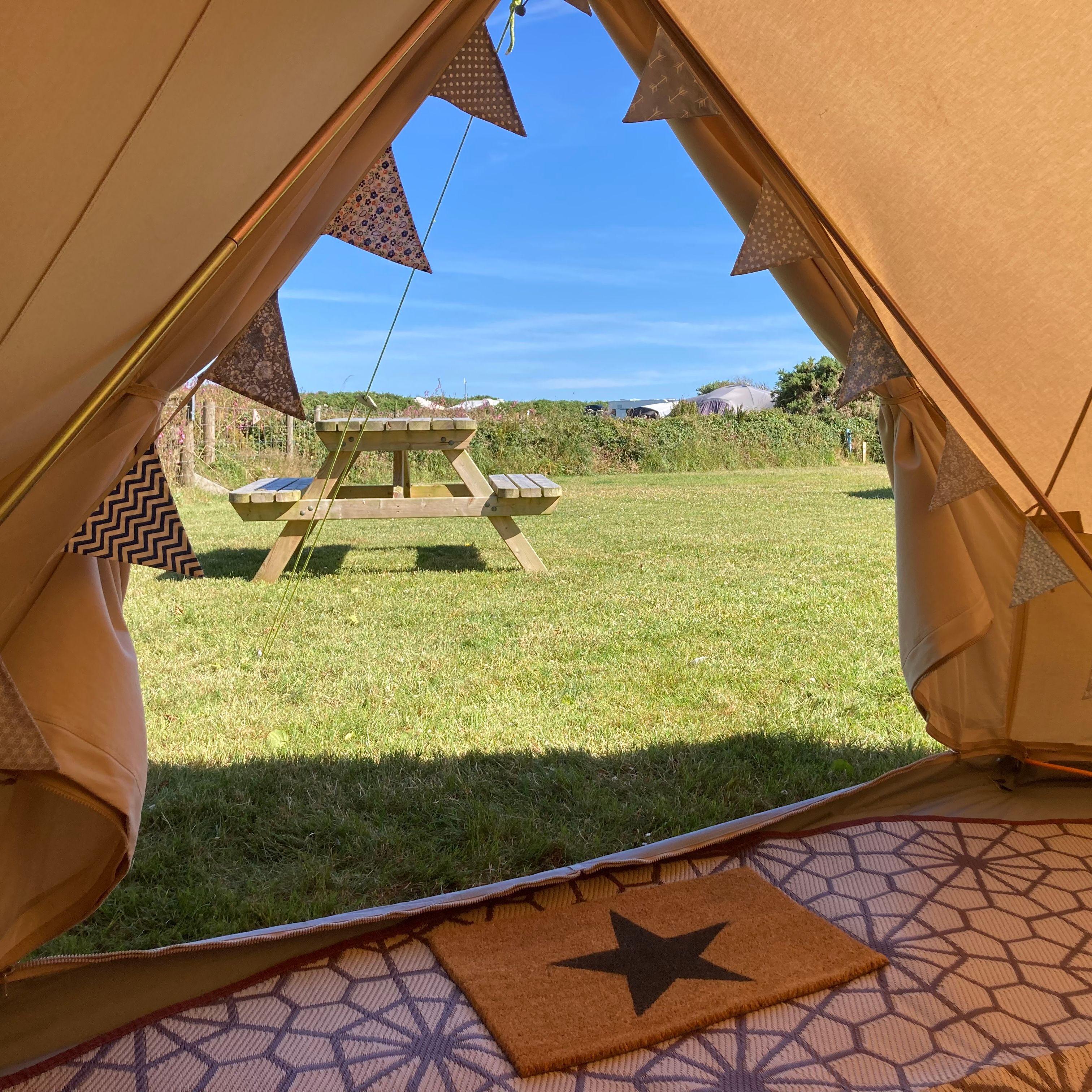View from inside a tent looking out at a picnic table on a grassy field.