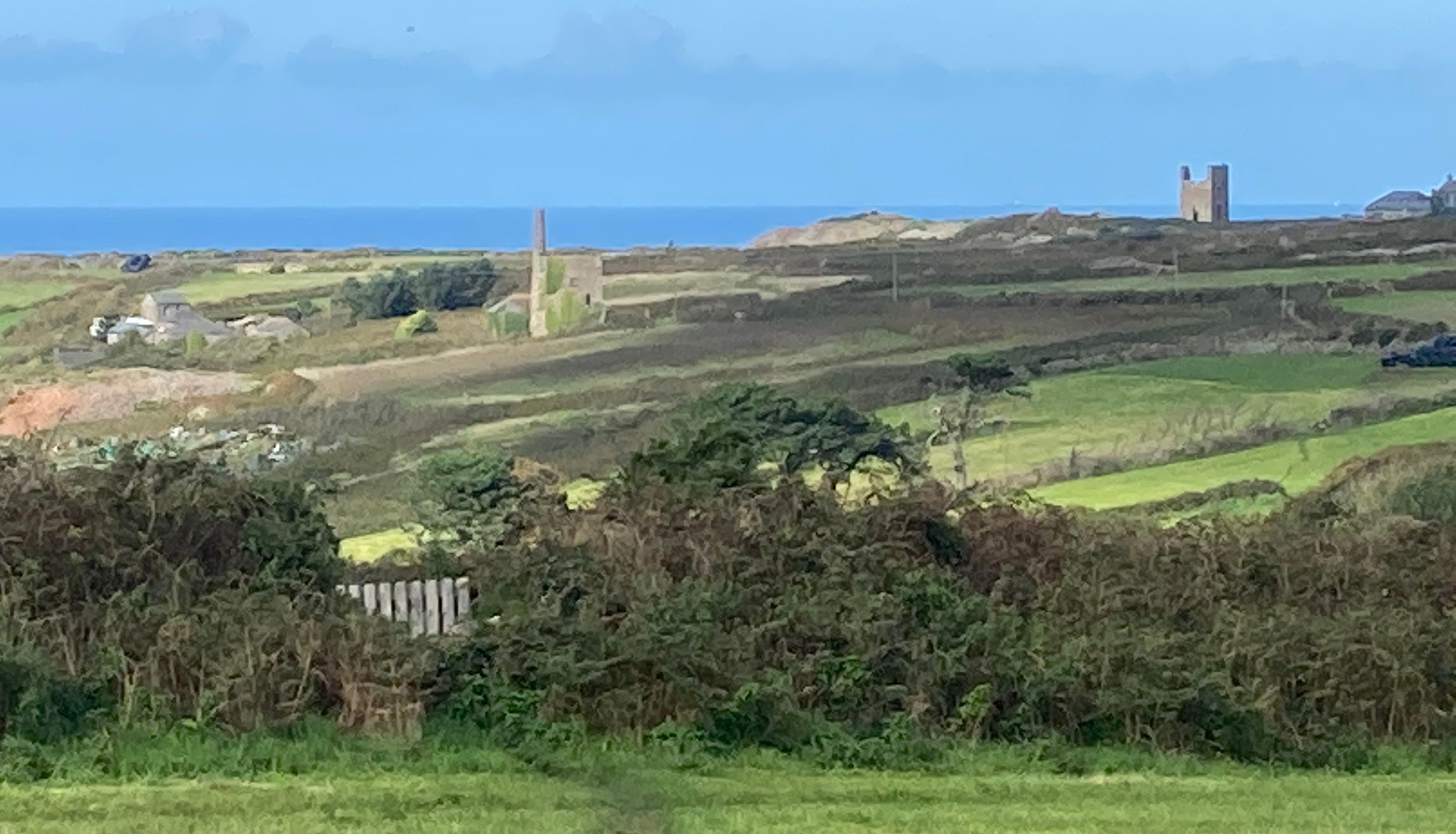 Dog walking on a grassy path with rolling hills, old mine buildings, and the sea in the background.