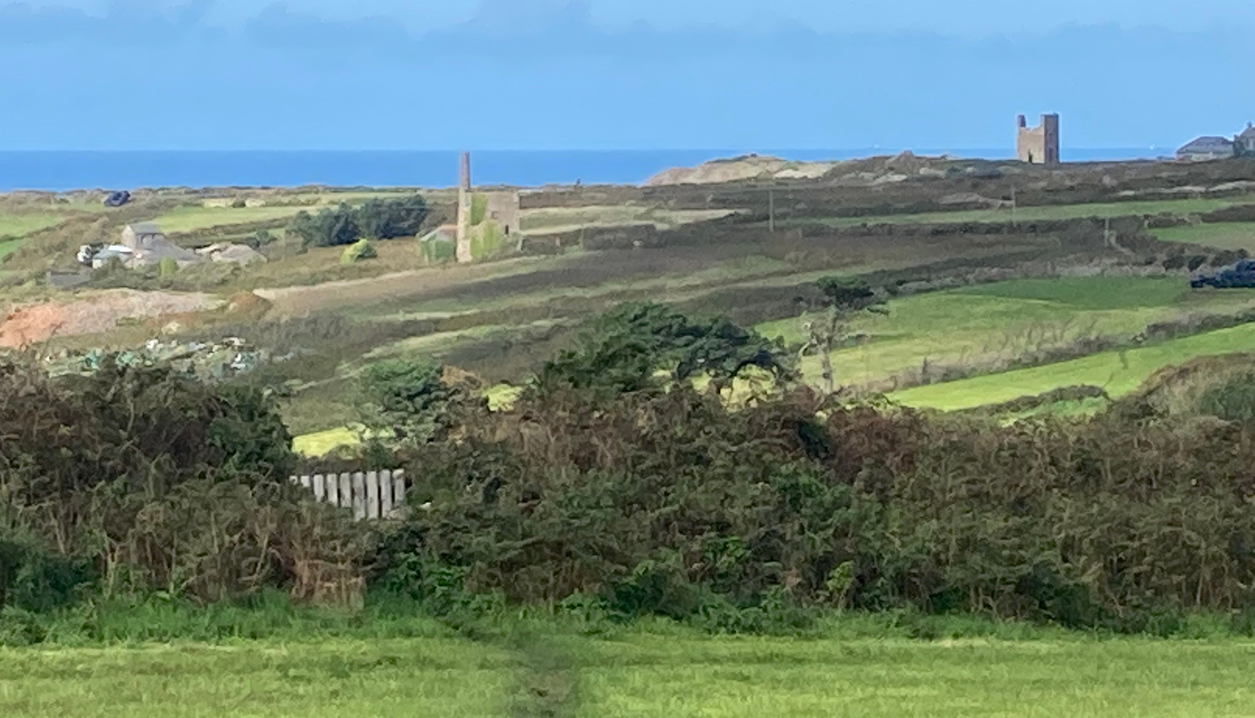 Dog walking on a grassy path with rolling hills, old mine buildings, and the sea in the background.