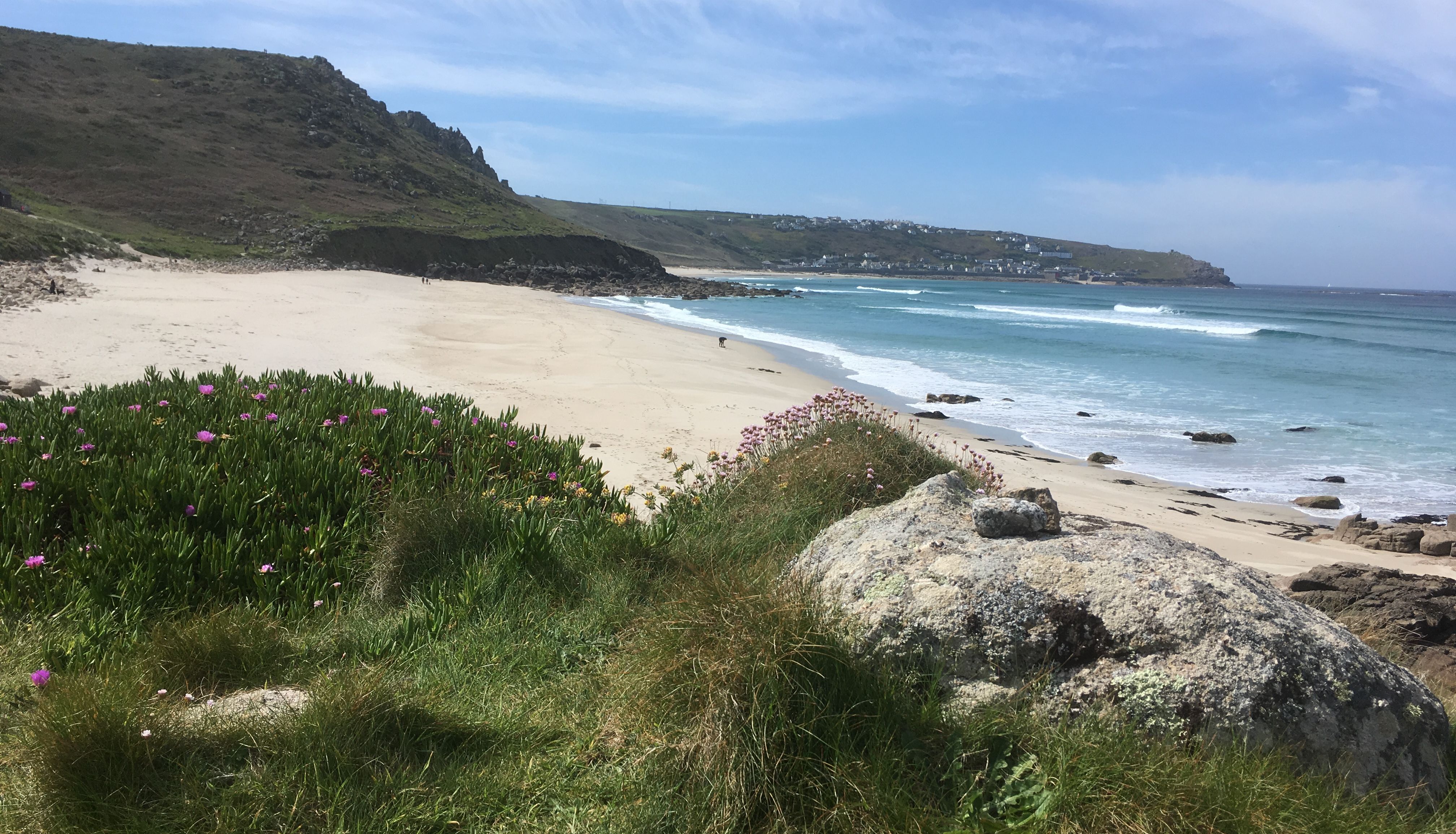 A scenic beach with turquoise waves, sandy shore, grassy dunes, and pink wildflowers under a blue sky.