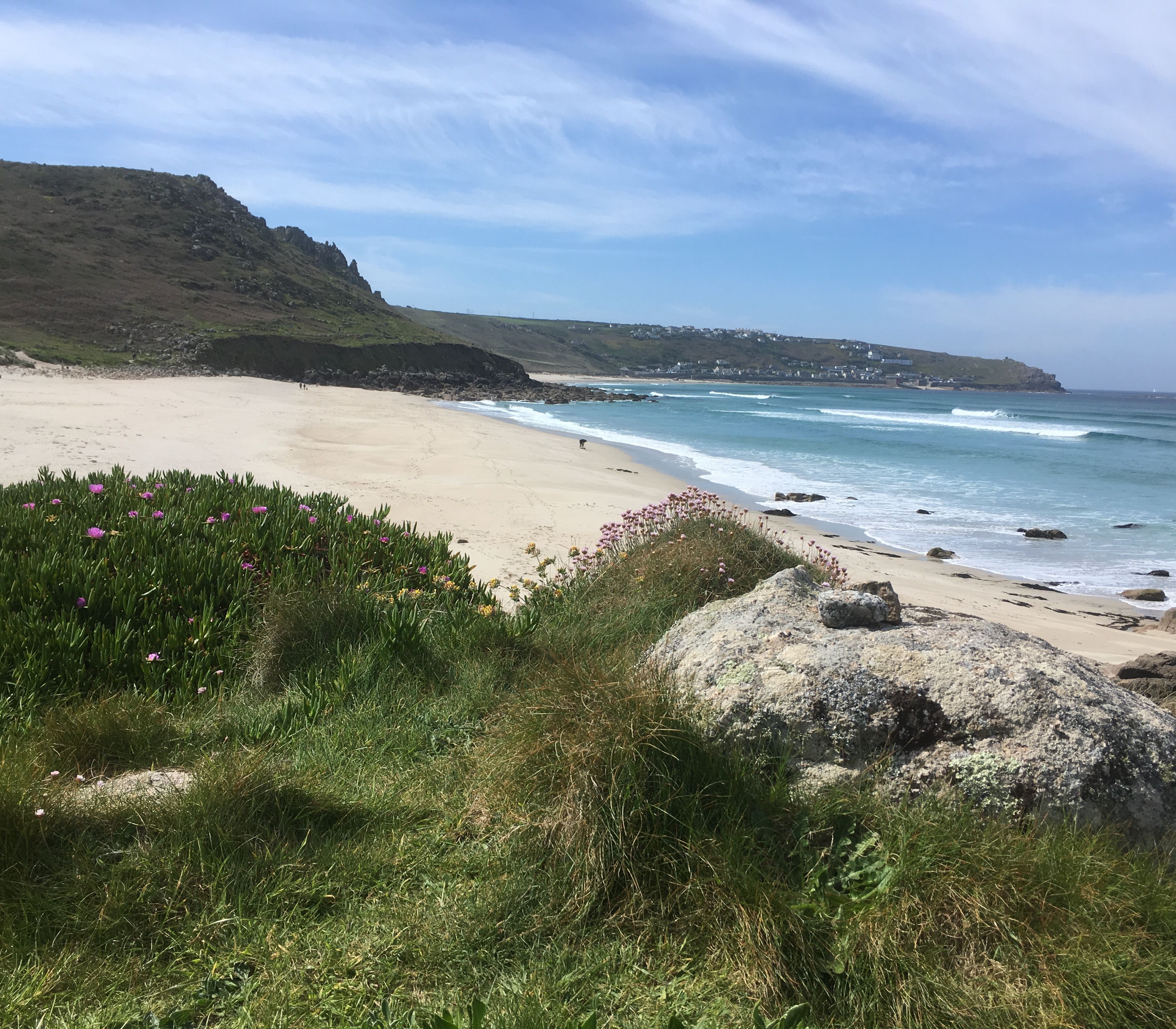 A scenic beach with turquoise waves, sandy shore, grassy dunes, and pink wildflowers under a blue sky.