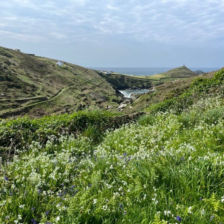 Coastal landscape with green hills, wildflowers, and distant ocean under a cloudy sky