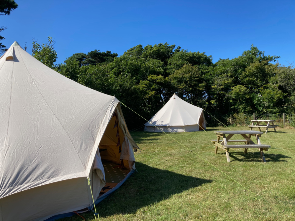 Two canvas tents set up on a grassy campsite with picnic tables and trees in the background under a clear blue sky.