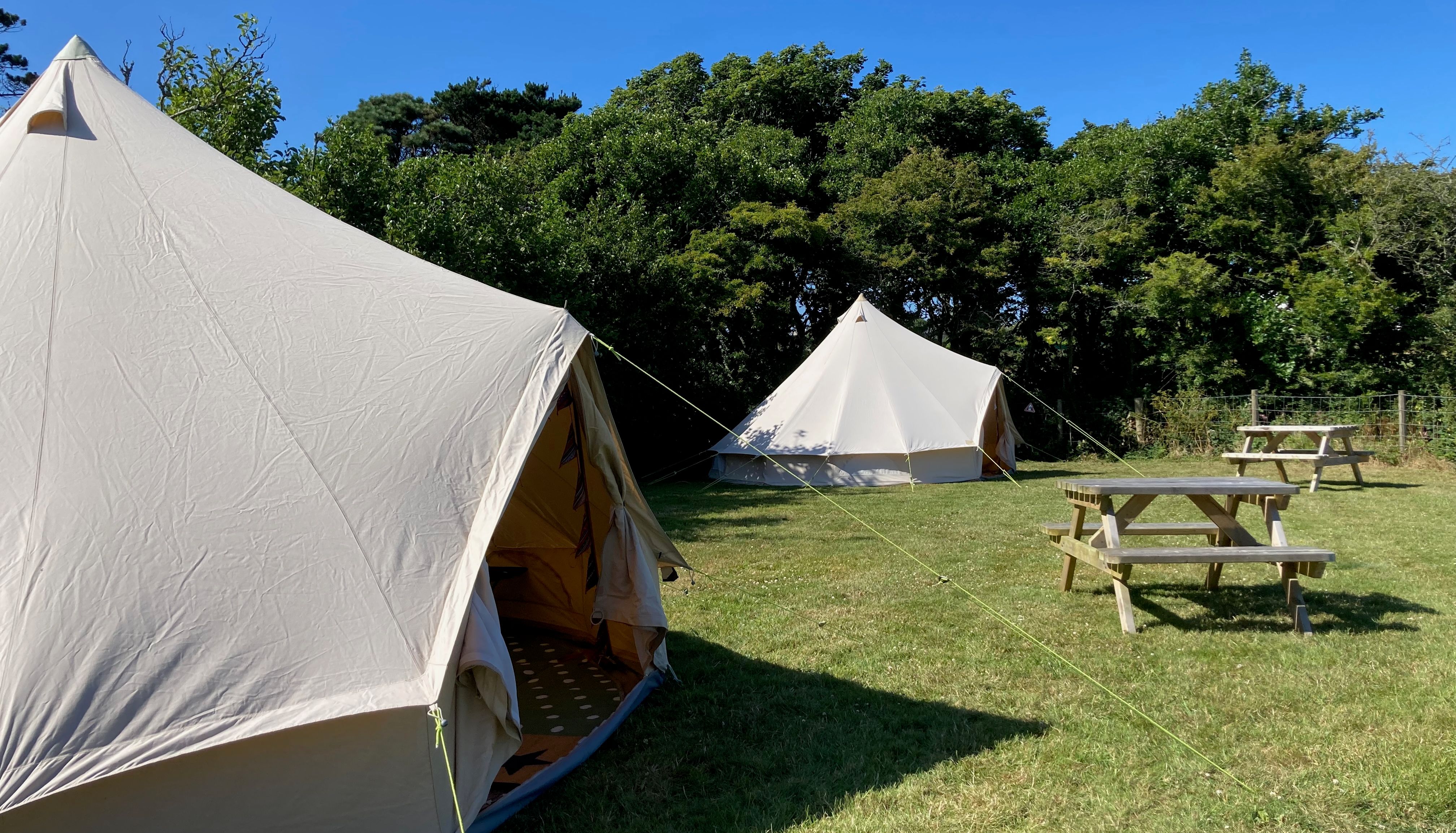 Two canvas tents set up on a grassy campsite with picnic tables and trees in the background under a clear blue sky.