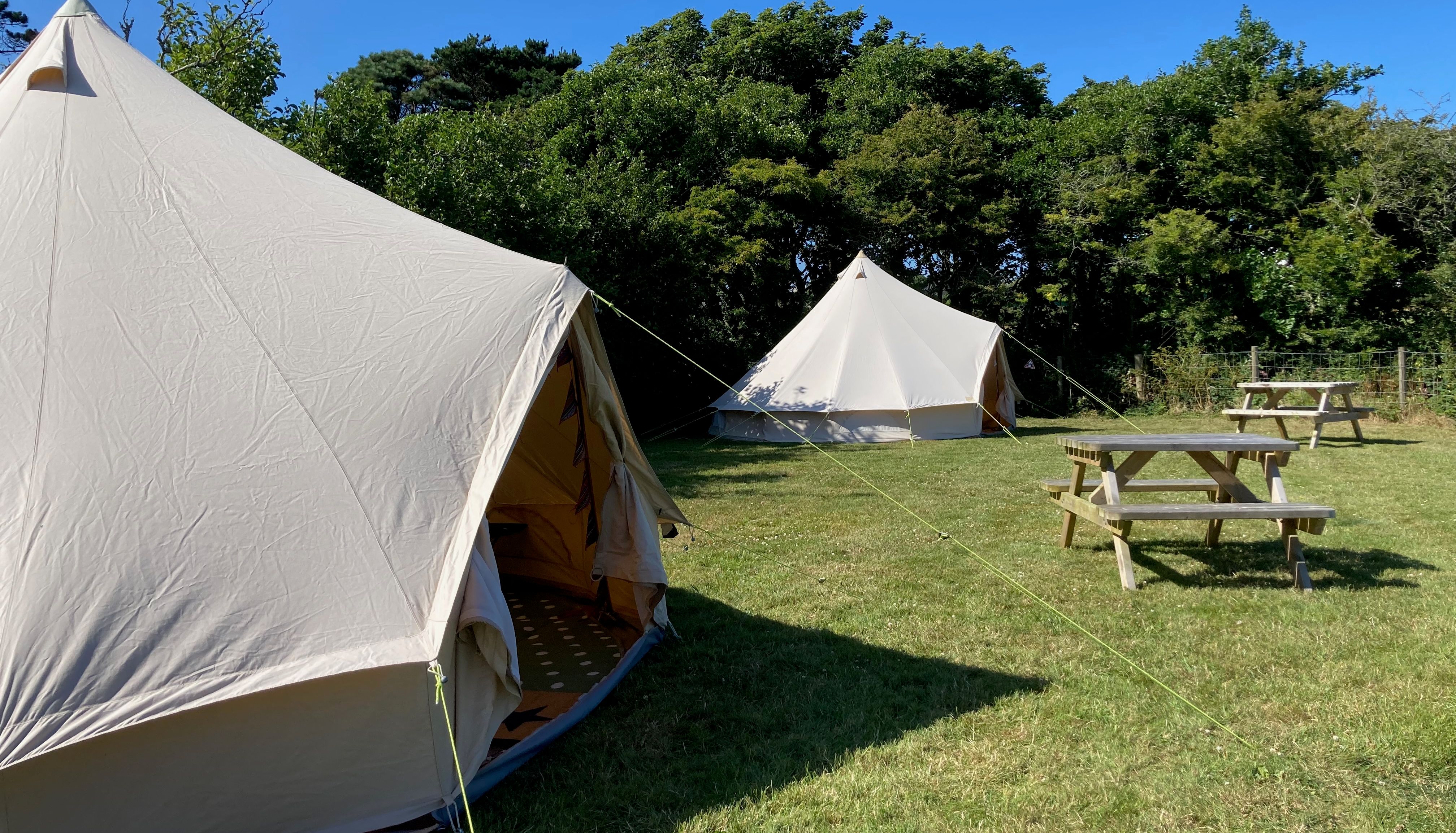 Two canvas tents set up on a grassy campsite with picnic tables and trees in the background under a clear blue sky.
