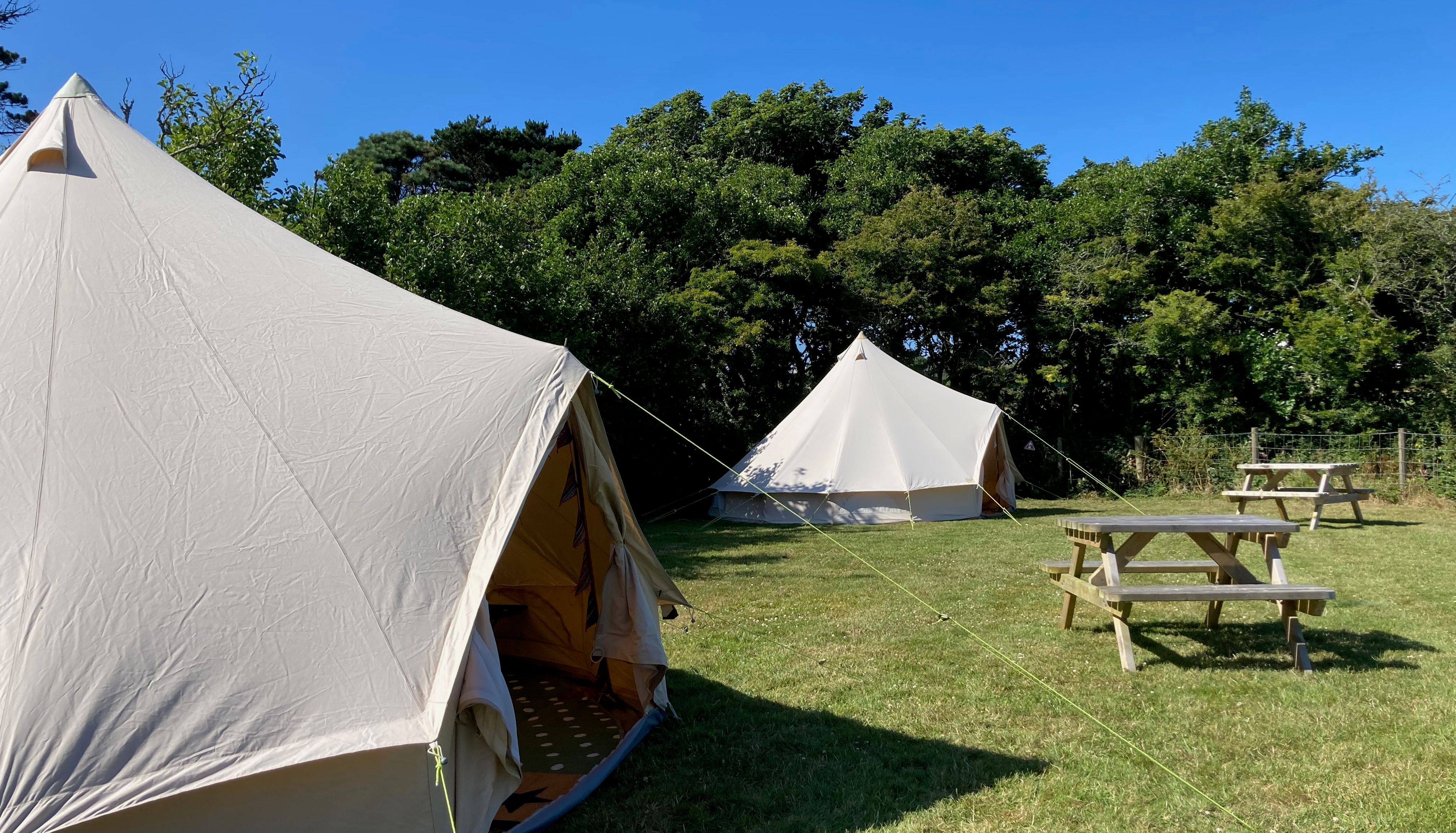 Two canvas tents set up on a grassy campsite with picnic tables and trees in the background under a clear blue sky.
