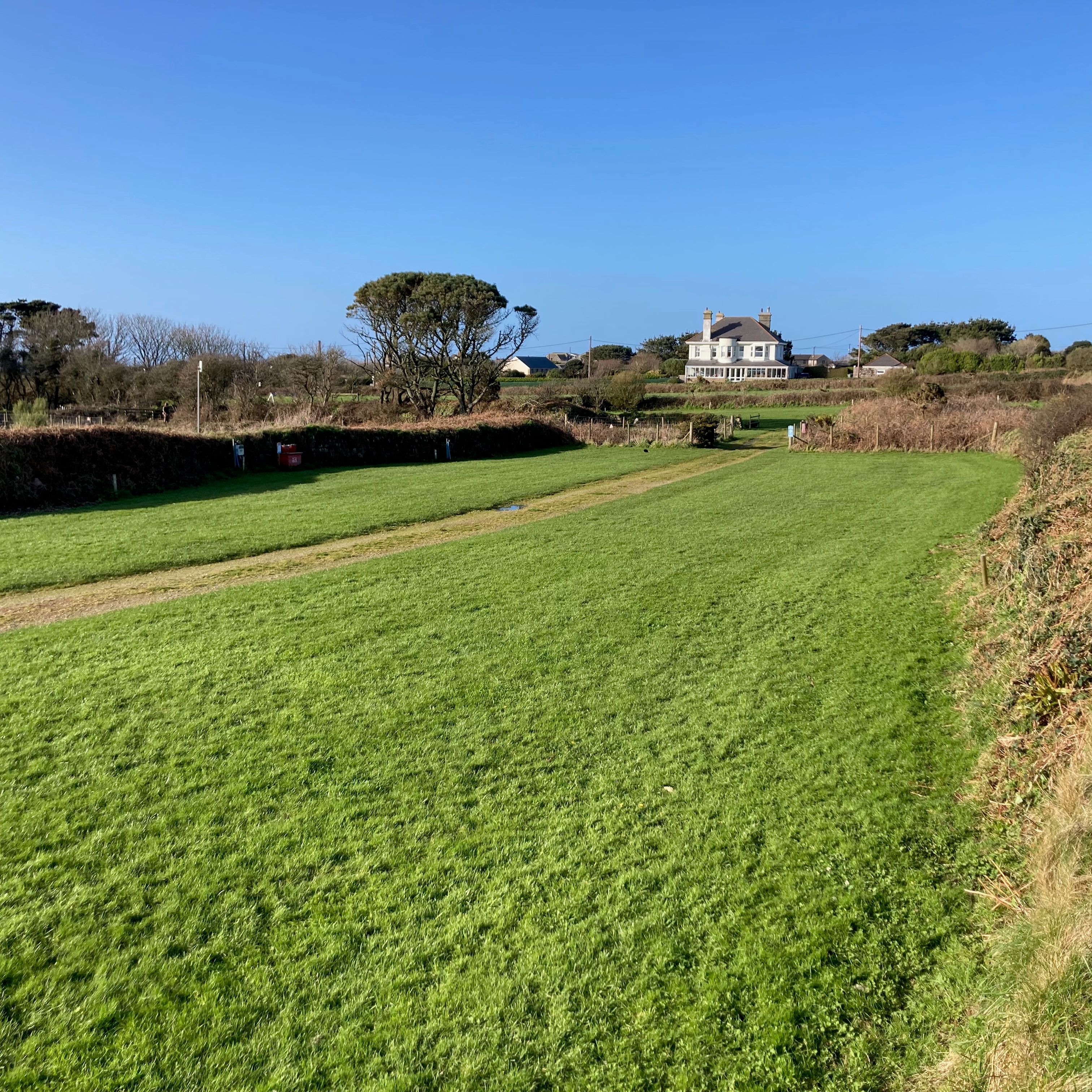 A green grassy field with a dirt path, bordered by hedges and trees, with a large house in the background under a clear blue sky.