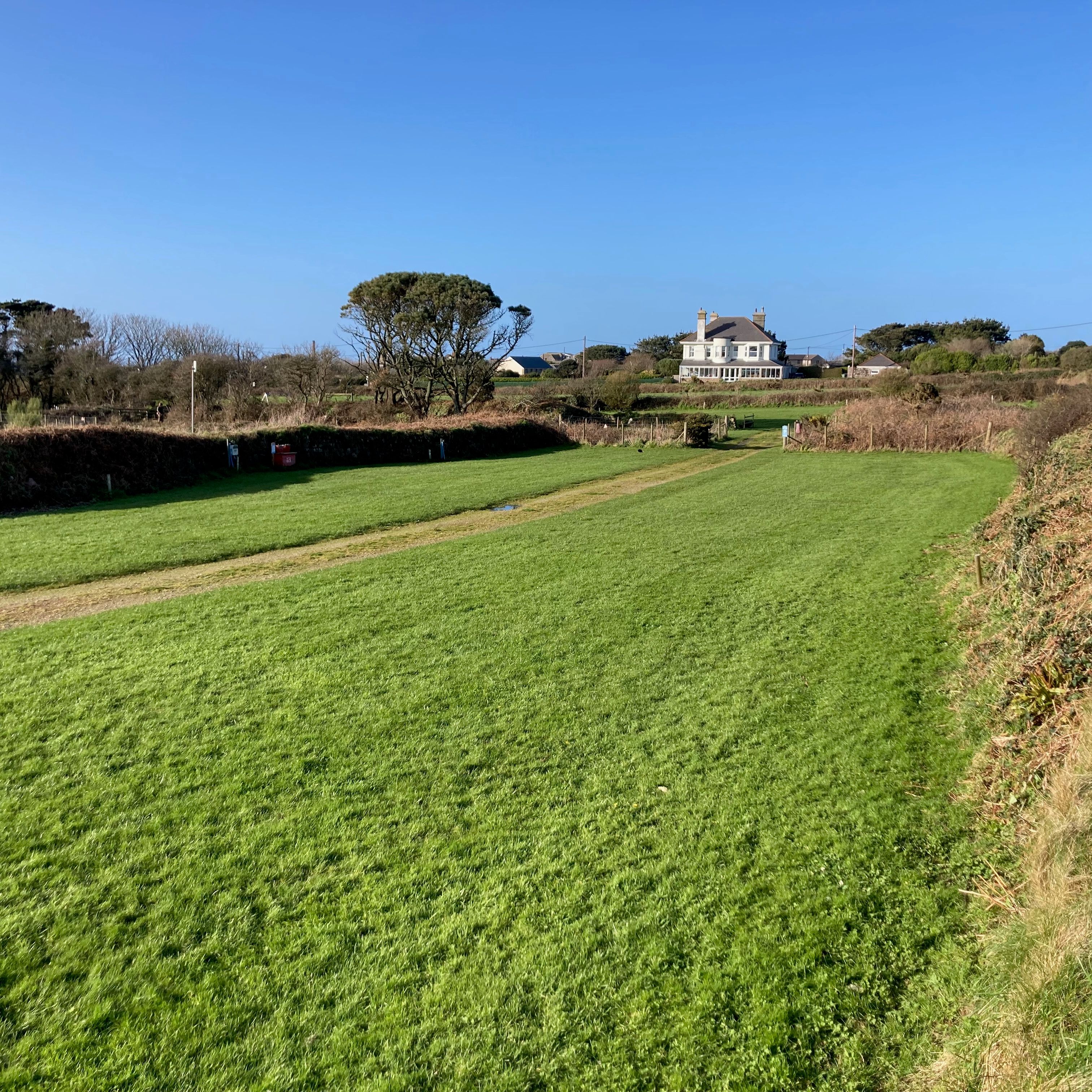 A green grassy field with a dirt path, bordered by hedges and trees, with a large house in the background under a clear blue sky.
