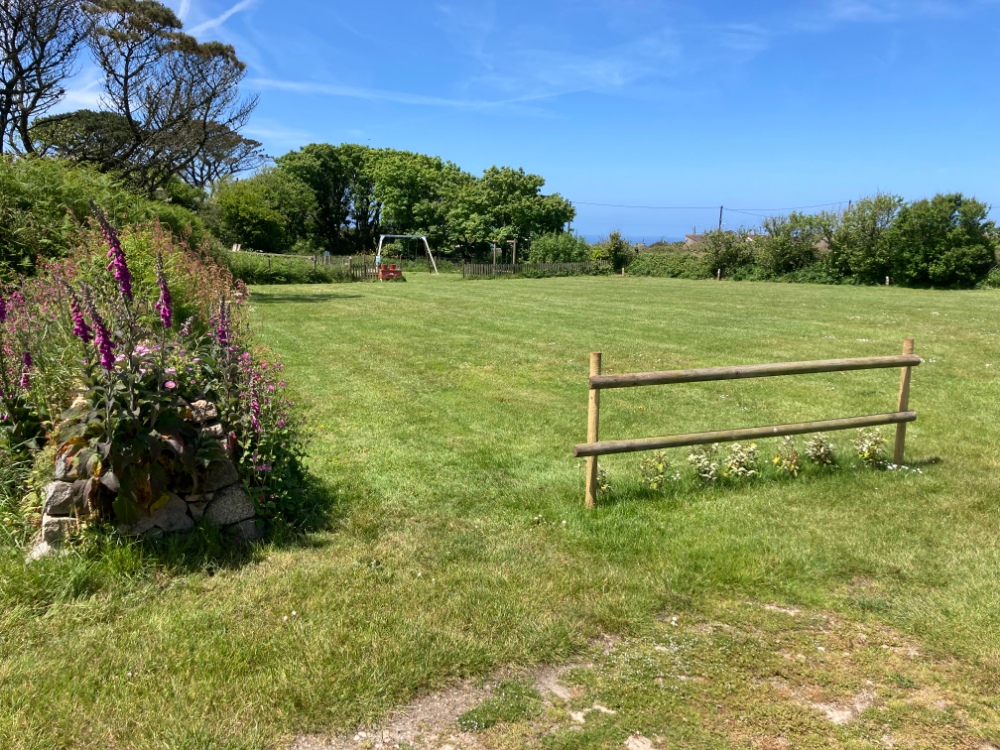 A grassy field with a wooden fence, wildflowers, and trees under a blue sky.