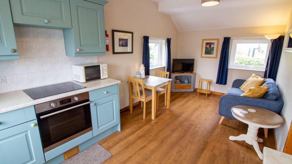 Cozy open-plan living room and kitchen with blue cabinets, dining table, sofa, and television.