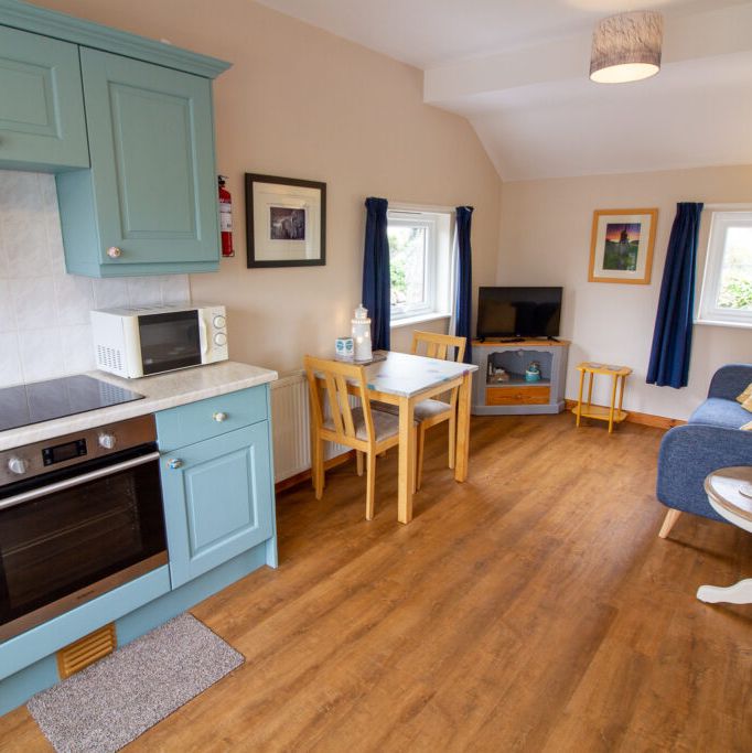 Cozy open-plan living room and kitchen with blue cabinets, dining table, sofa, and television.