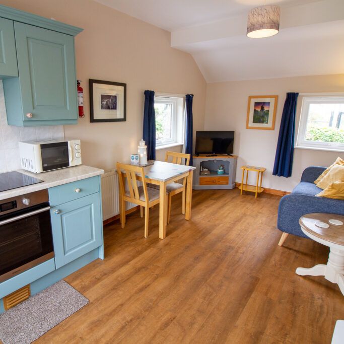 Cozy open-plan living room and kitchen with blue cabinets, dining table, sofa, and television.