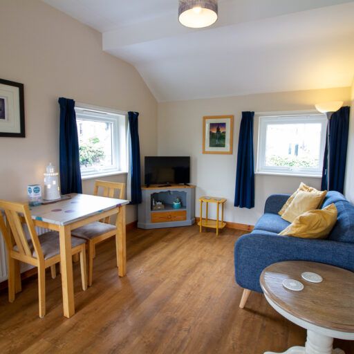 Cozy living and dining area in a small apartment with wooden floor, blue sofa, dining table with two chairs, and TV by the window.