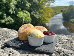Cream tea on the bridge