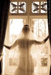 portia-crossley bride by window