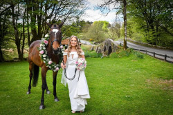 Richard Palmer - bride with horse