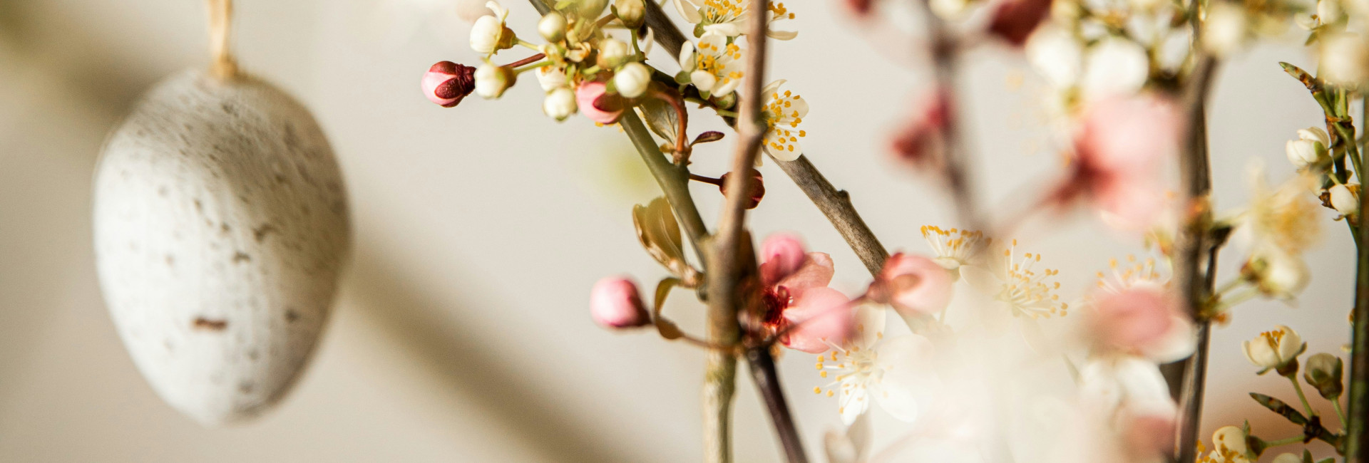 Easter egg and spring flowers