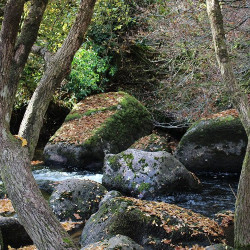 Dartmeet