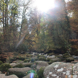 Dartmeet