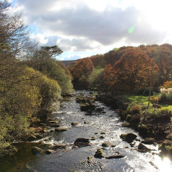 Dartmeet