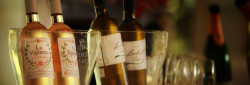 Wine tasting