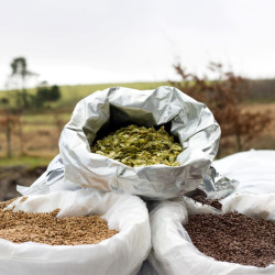 Beer ingredients