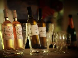 Wine_Tasting_003-TB-18000