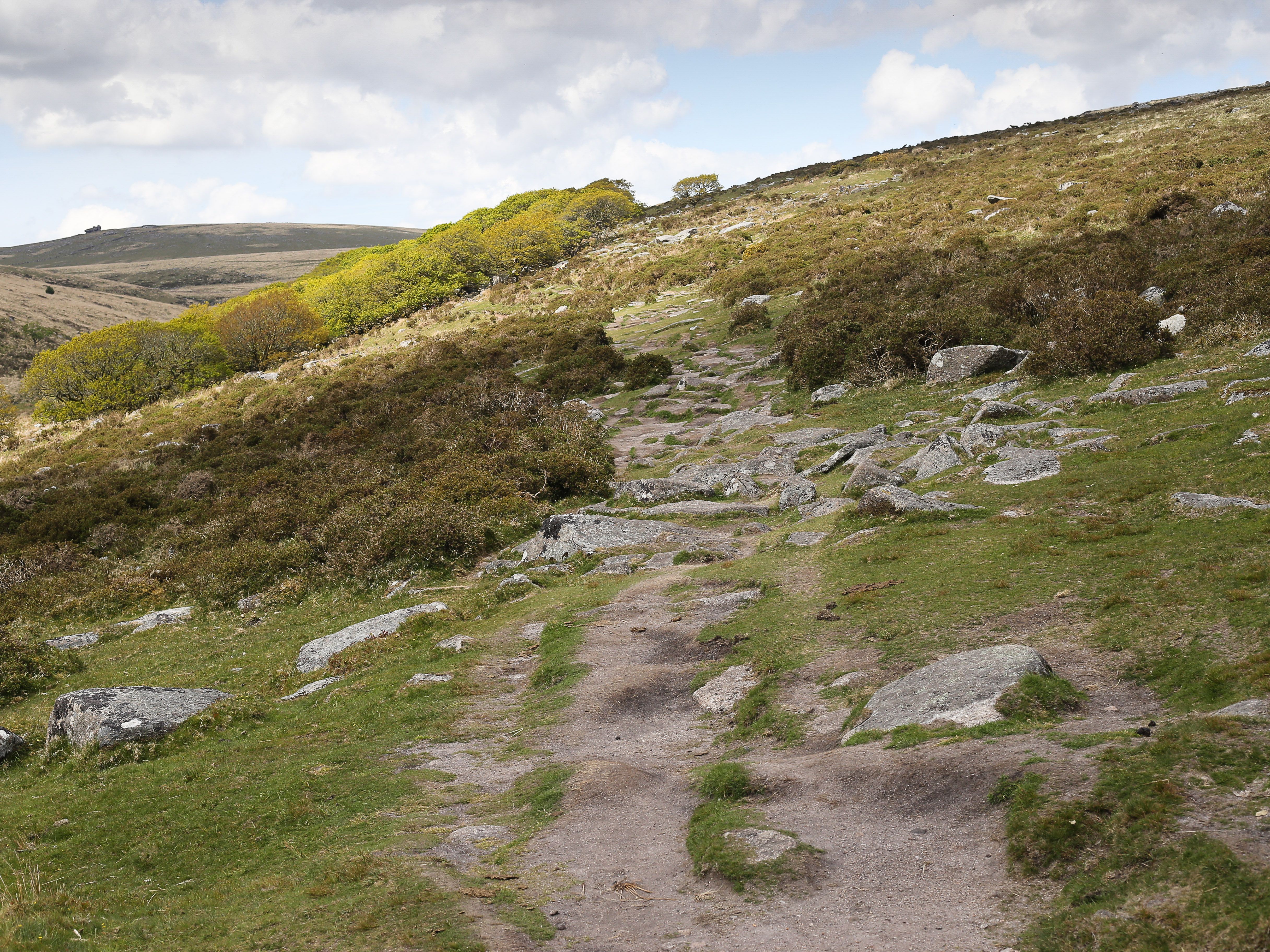 Dartmoor walk to Wistman's Wood