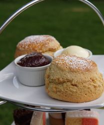 Scones with jam and cream