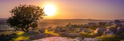 Summer sunset on Dartmoor