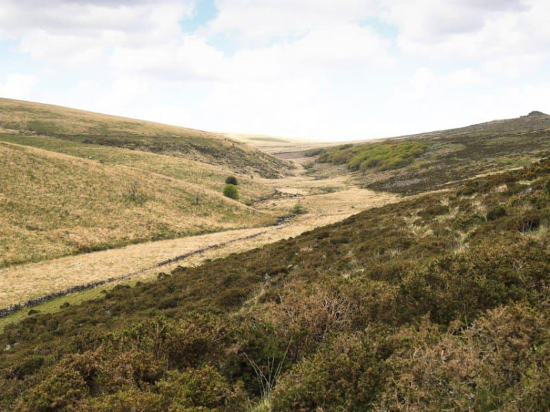 Walking to Wistmans Wood