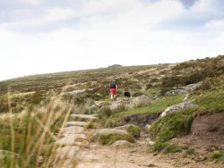Walking to Wistmans Wood