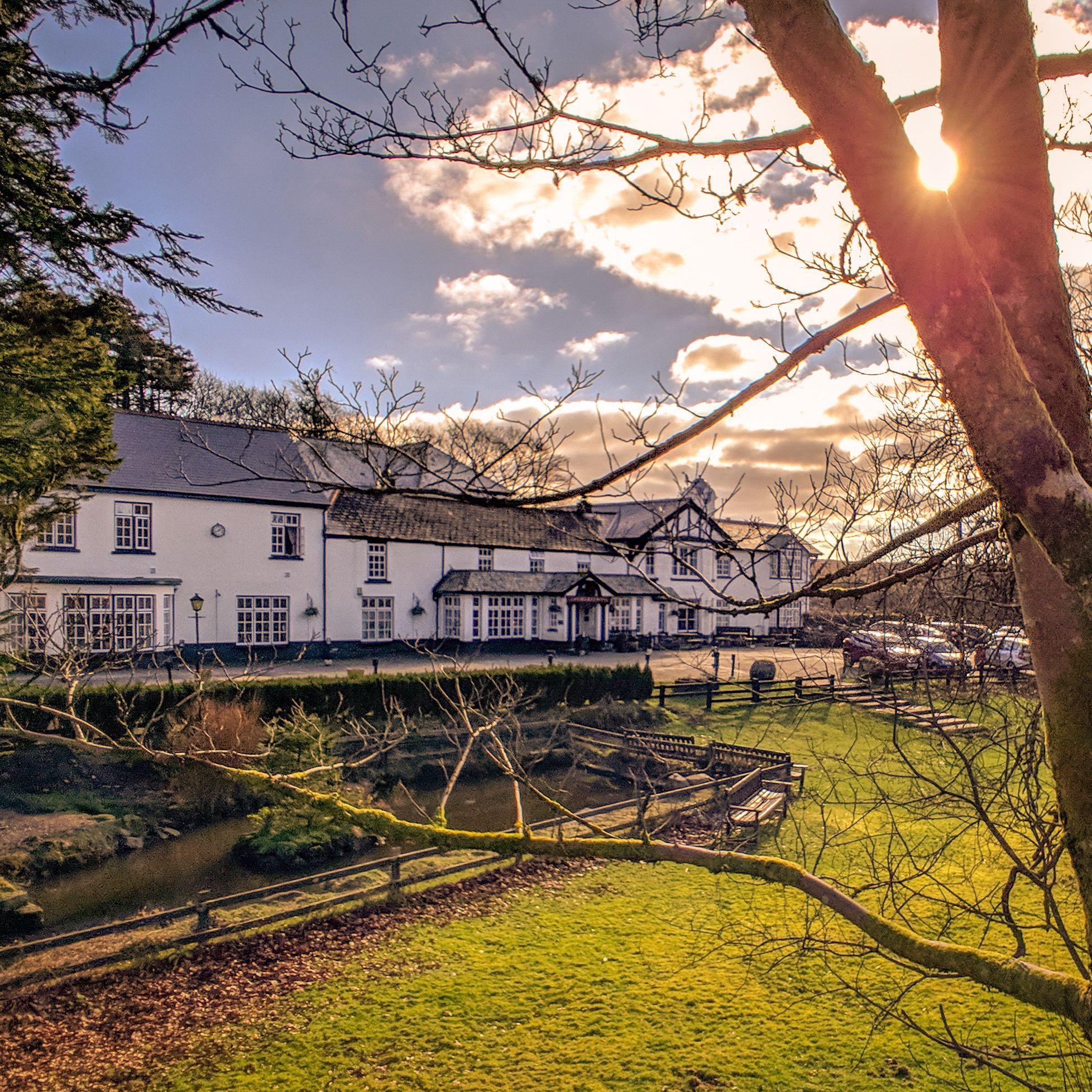 White hotel building set in a countryside landscape with sunlight filtering through tree branches in the foreground.