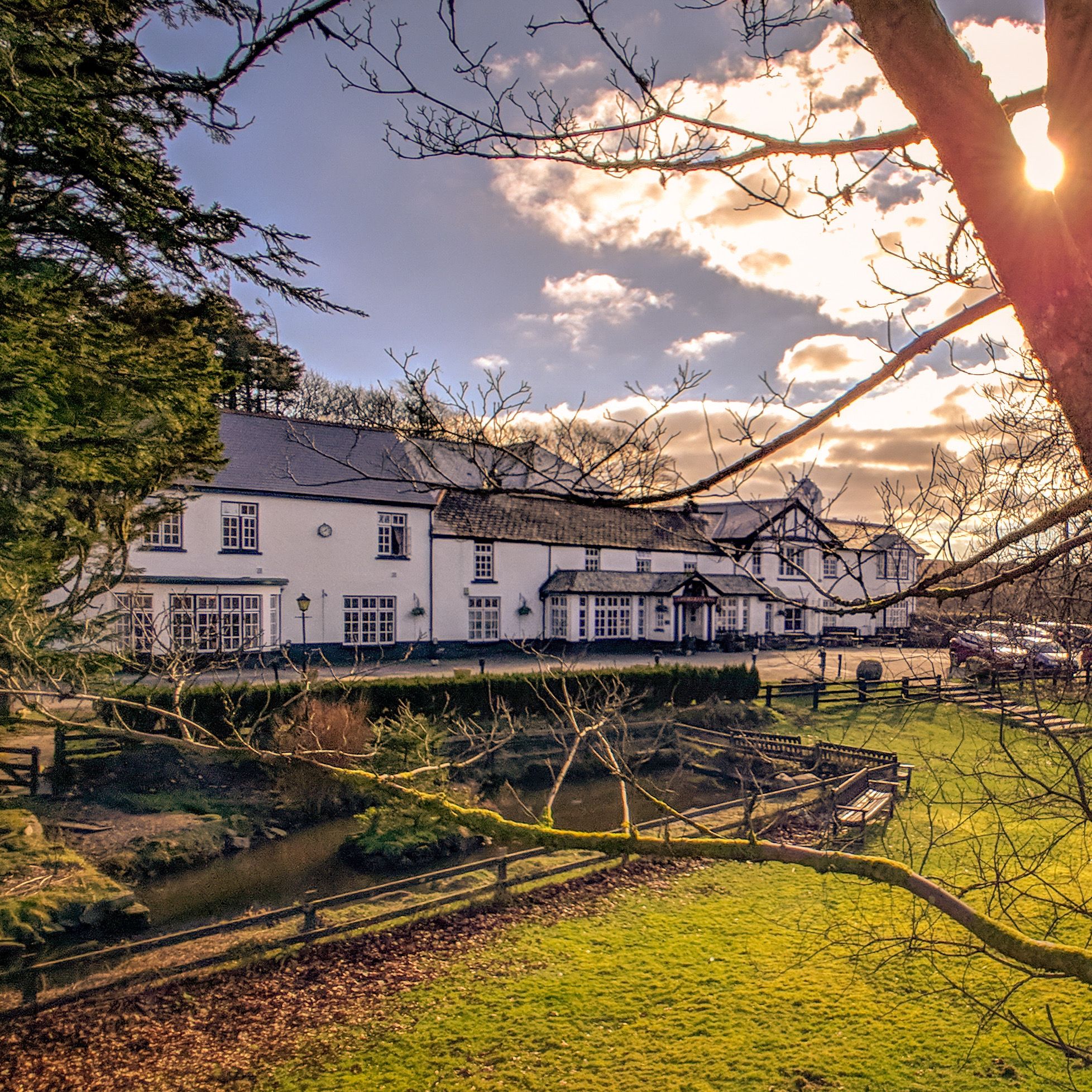 White hotel building set in a countryside landscape with sunlight filtering through tree branches in the foreground.