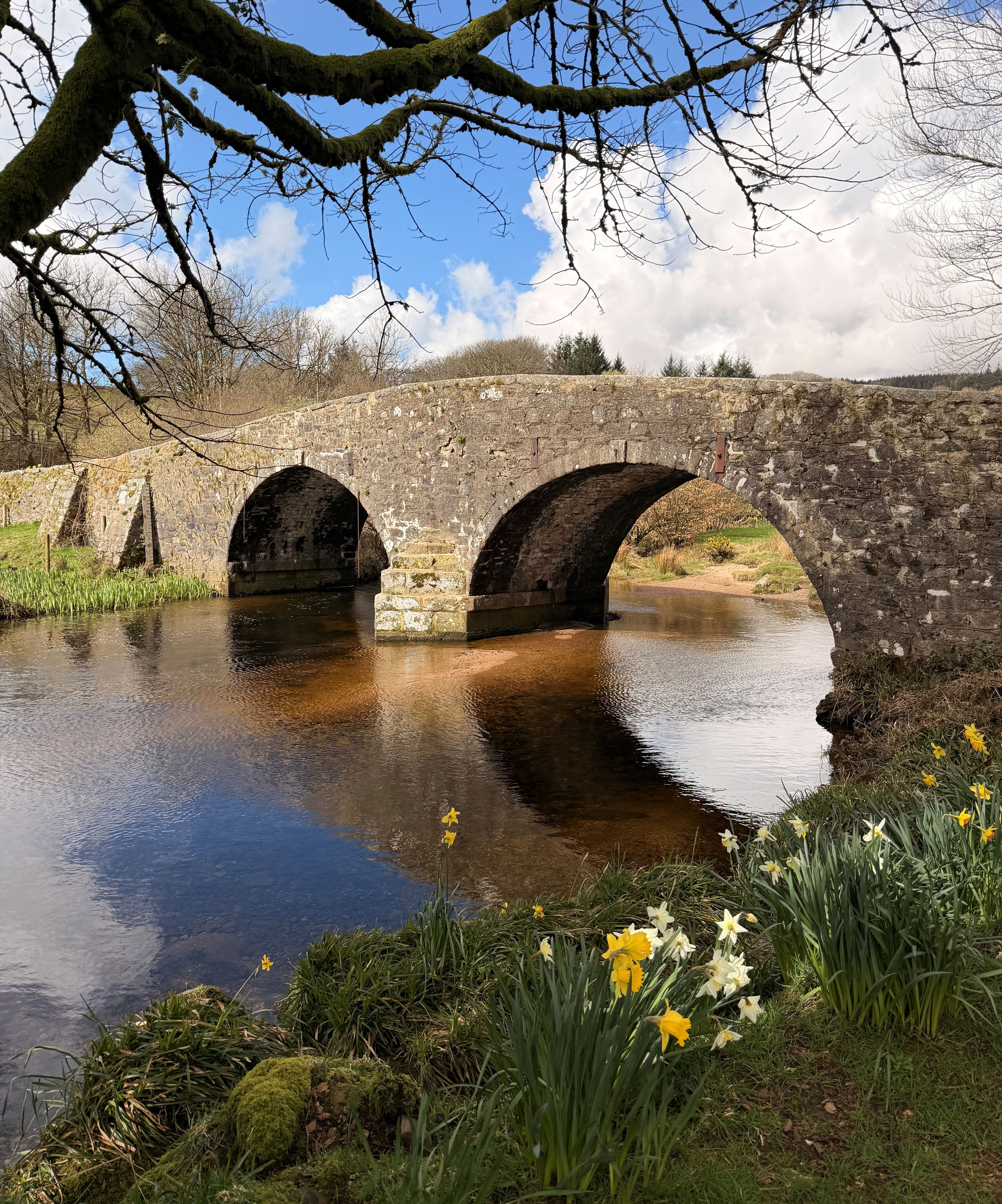 Stone bridge over a river with yellow and white daffodils in the foreground and tree branches overhead.