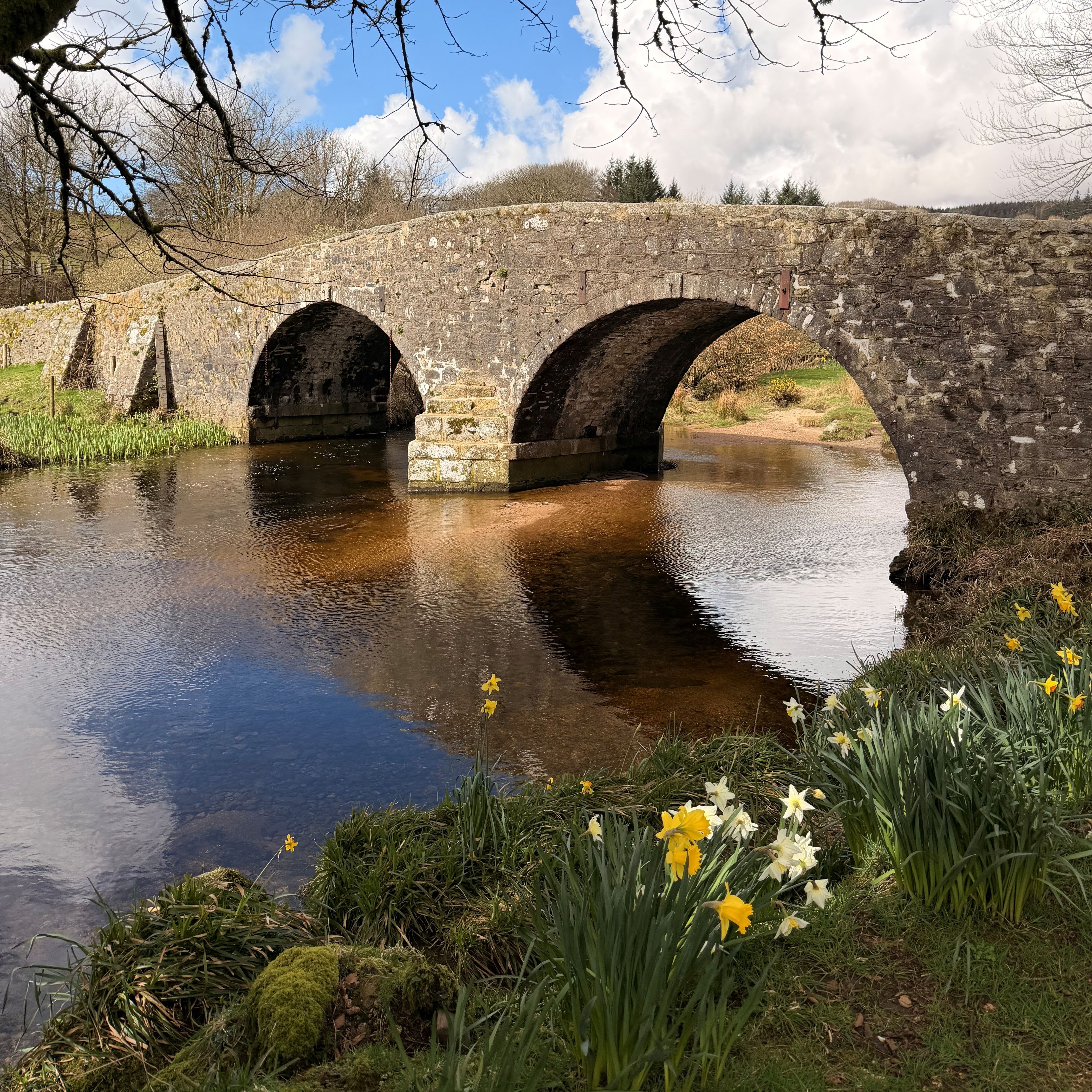 Stone bridge over a river with yellow and white daffodils in the foreground and tree branches overhead.