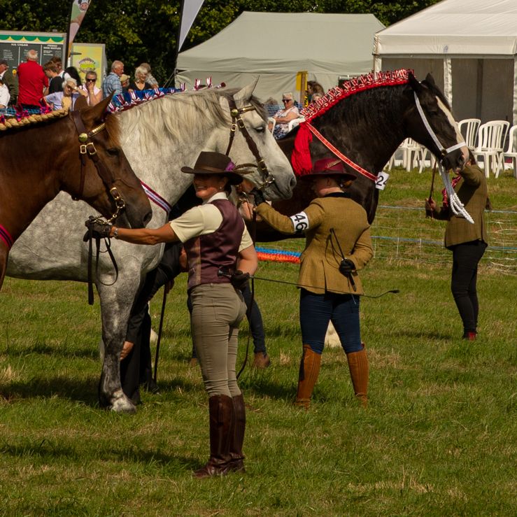 Handlers presenting decorated horses at an outdoor competition with spectators and tents in the background.
