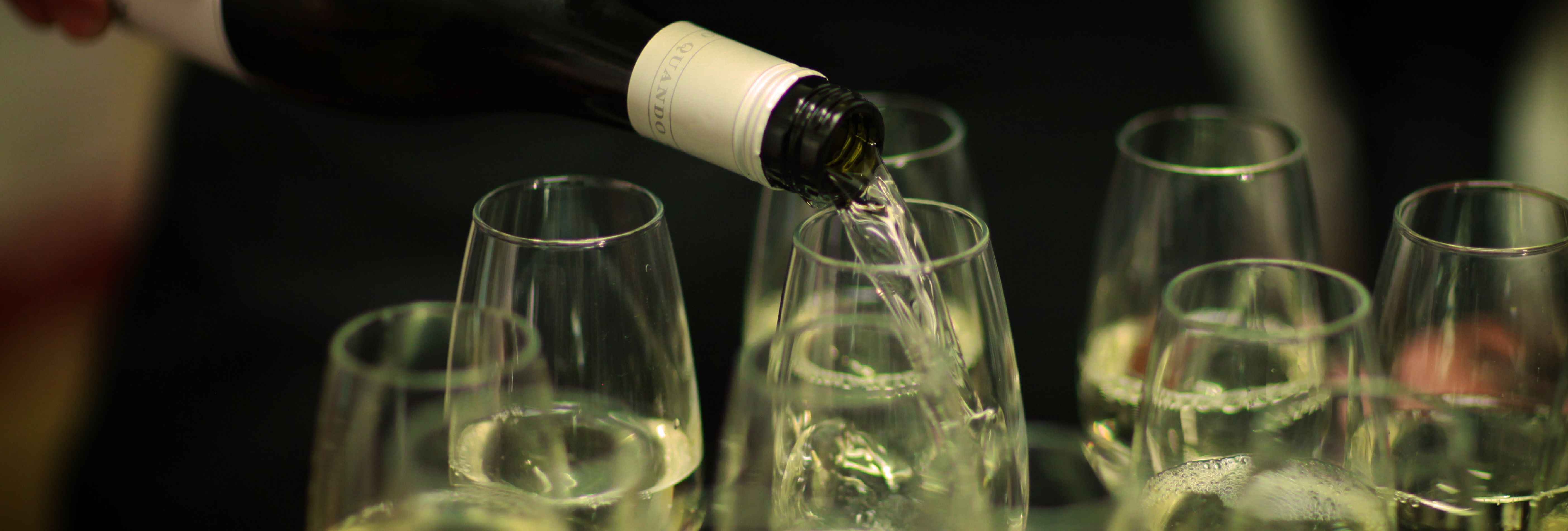 Foodie_019-TB-18000